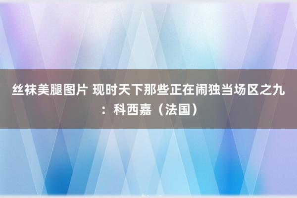 丝袜美腿图片 现时天下那些正在闹独当场区之九：科西嘉（法国）