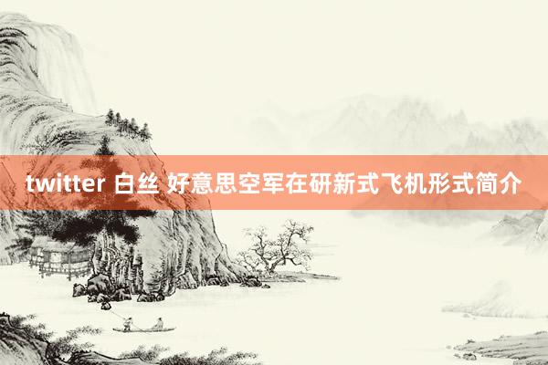 twitter 白丝 好意思空军在研新式飞机形式简介