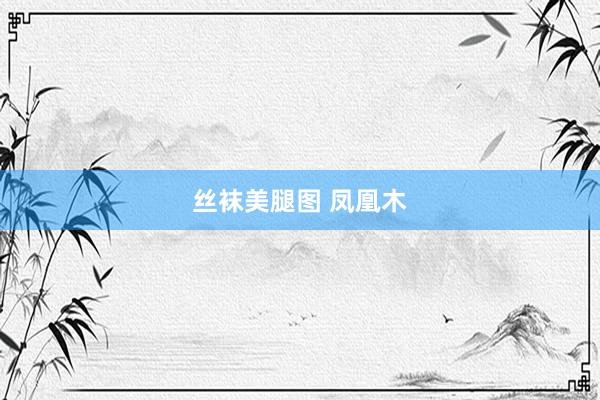 丝袜美腿图 凤凰木