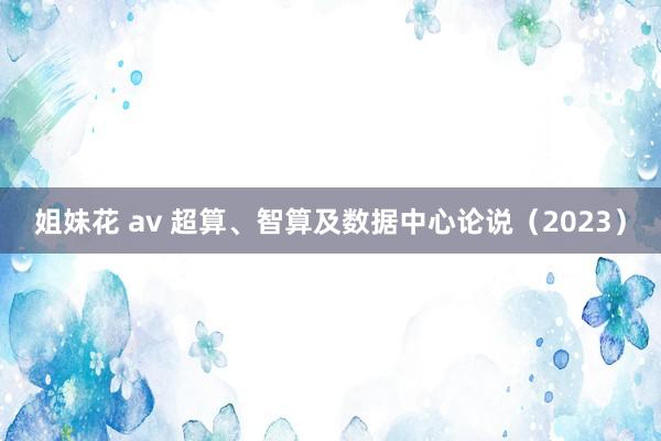 姐妹花 av 超算、智算及数据中心论说（2023）