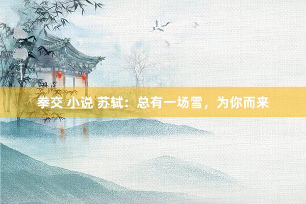 拳交 小说 苏轼：总有一场雪，为你而来