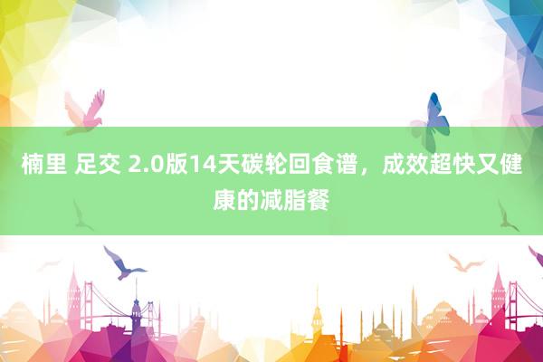 楠里 足交 2.0版14天碳轮回食谱，成效超快又健康的减脂餐