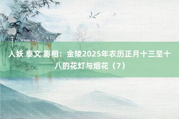 人妖 泰文 影相：金陵2025年农历正月十三至十八的花灯与烟花（7）