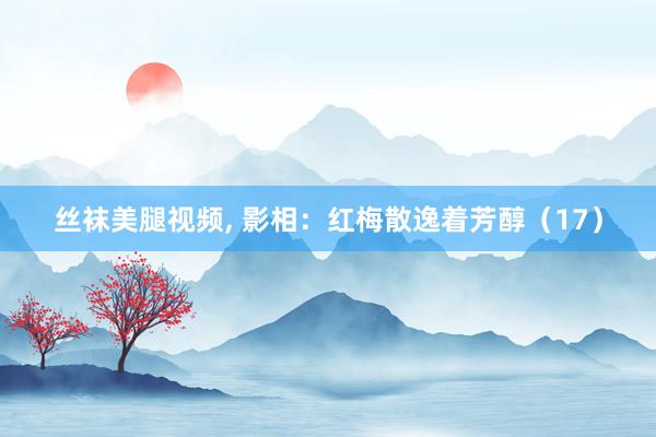 丝袜美腿视频， 影相：红梅散逸着芳醇（17）