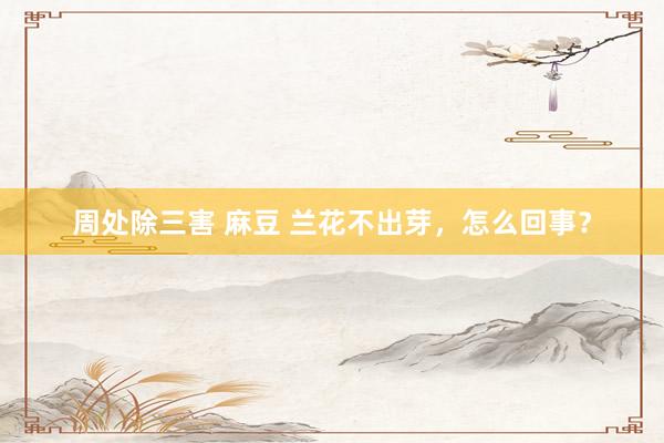 周处除三害 麻豆 兰花不出芽，怎么回事？