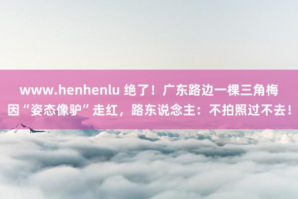 www.henhenlu 绝了！广东路边一棵三角梅因“姿态像驴”走红，路东说念主：不拍照过不去！