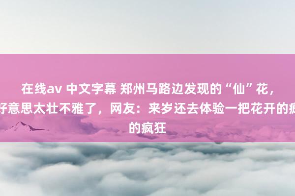 在线av 中文字幕 郑州马路边发现的“仙”花，太好意思太壮不雅了，网友：来岁还去体验一把花开的疯狂