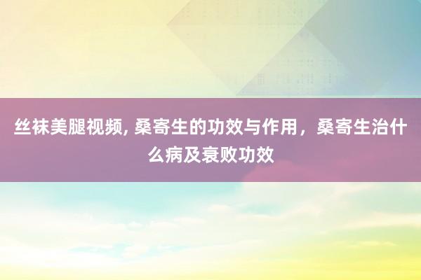 丝袜美腿视频， 桑寄生的功效与作用，桑寄生治什么病及衰败功效