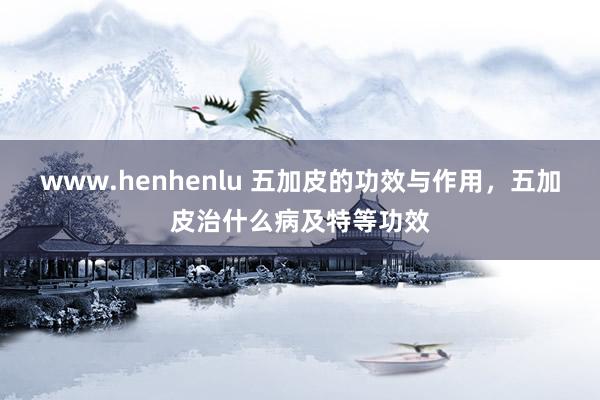 www.henhenlu 五加皮的功效与作用，五加皮治什么病及特等功效