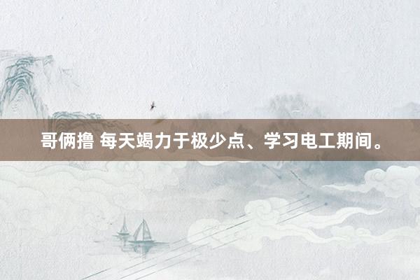 哥俩撸 每天竭力于极少点、学习电工期间。